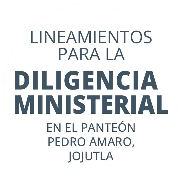 Lineamientos para la diligencia ministerial
